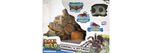 Ηλεκτρονικό Ρομποτικό Παιχνίδι Real Wild RC Giant Spider για 5+ Ετών - 20254 ΤΗΛΕΚΑΤΕΥΘΥΝΟΜΕΝΑ Τεχνολογια - Πληροφορική e-rainbow.gr