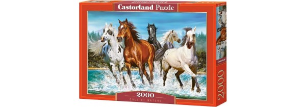 Castorland Puzzle Call of Nature - 2000 pieces Puzzle Τεχνολογια - Πληροφορική e-rainbow.gr