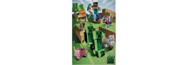 Children's Fleece Minecraft 130×170 cm. KIDS ROOM Τεχνολογια - Πληροφορική e-rainbow.gr