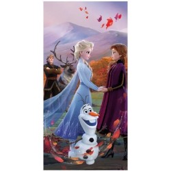 Πετσέτα Θαλάσσης Παιδική Jerry Fabrics Disney Frozen 100% Cotton 70*140cm - 959619 ΠΑΙΔΙΚΟ ΔΩΜΑΤΙΟ Τεχνολογια - Πληροφορική e-rainbow.gr