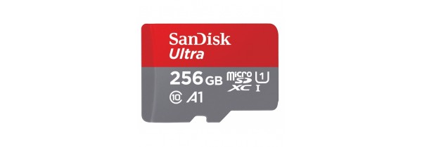 SanDisk Ultra Micro SDXC 256G (SDSQUAM-256G-GN6MA) MEMORY CARDS Τεχνολογια - Πληροφορική e-rainbow.gr